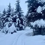 Daniela 14 * Rauris