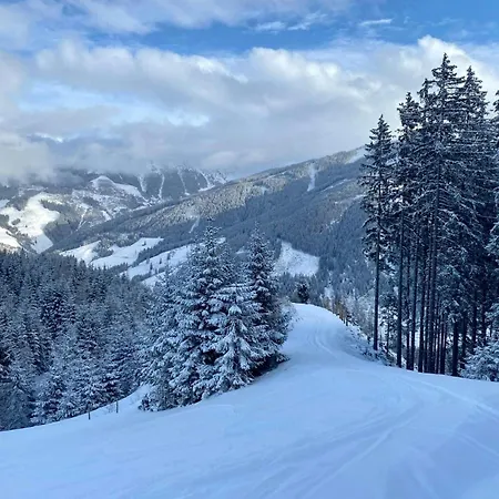 Apartman Daniela 14 *