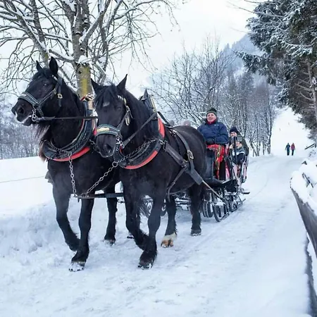 Apartman Daniela 14 *