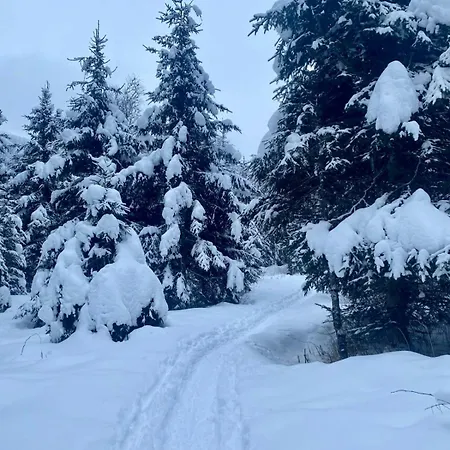 Daniela 14 Apartman Rauris