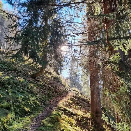 Daniela 14 Apartman Rauris