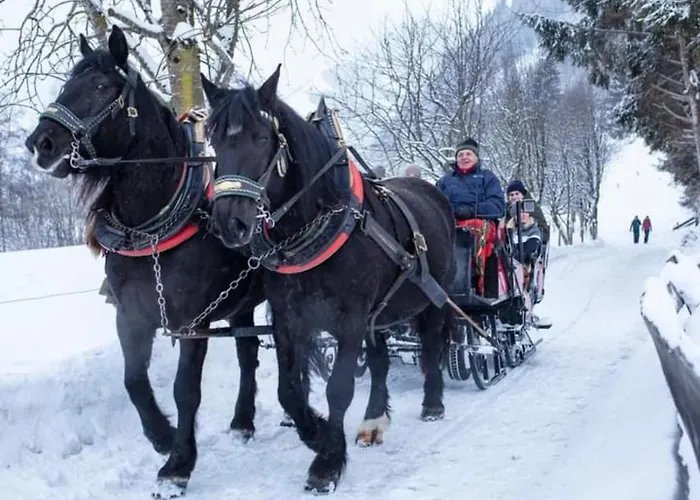 Daniela 14 Διαμέρισμα *